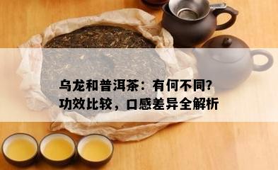 乌龙和普洱茶：有何不同？功效比较，口感差异全解析