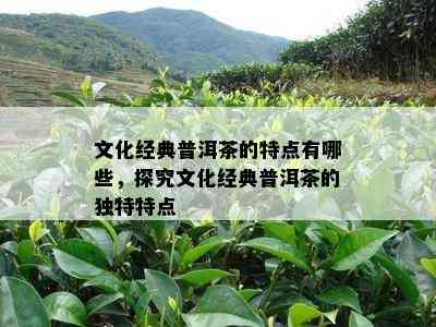 文化经典普洱茶的特点有哪些，探究文化经典普洱茶的独特特点