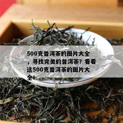 500克普洱茶的图片大全，寻找完美的普洱茶？看看这500克普洱茶的图片大全！