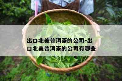 出口北美普洱茶的公司-出口北美普洱茶的公司有哪些