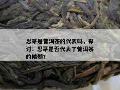 思茅是普洱茶的代表吗，探讨：思茅是否代表了普洱茶的精髓？