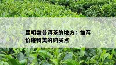 昆明卖普洱茶的地方：推荐价廉物美的购买点