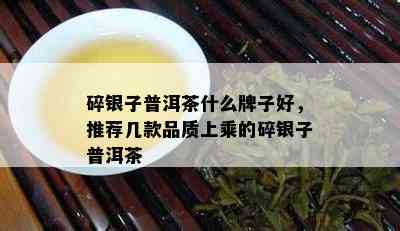 碎银子普洱茶什么牌子好，推荐几款品质上乘的碎银子普洱茶