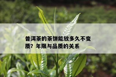 普洱茶的茶饼能放多久不变质？年限与品质的关系