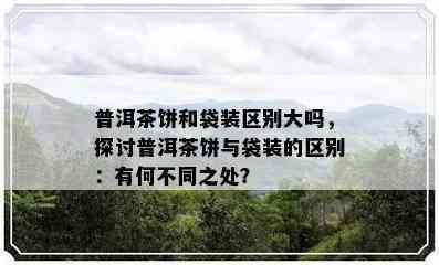 普洱茶饼和袋装区别大吗，探讨普洱茶饼与袋装的区别：有何不同之处？