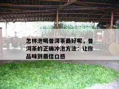 怎样泡喝普洱茶更好呢，普洱茶的正确冲泡方法：让你品味到更佳口感