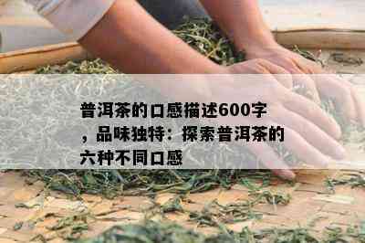 普洱茶的口感描述600字，品味独特：探索普洱茶的六种不同口感