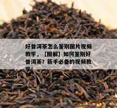 好普洱茶怎么鉴别图片视频教学，【图解】如何鉴别好普洱茶？新手必备的视频教学！