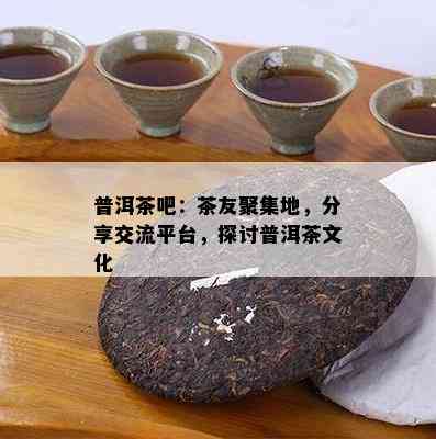 普洱茶吧：茶友聚集地，分享交流平台，探讨普洱茶文化