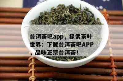 普洱茶吧app，探索茶叶世界：下载普洱茶吧APP，品味正宗普洱茶！