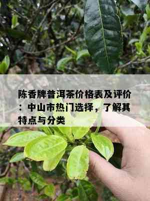 陈香牌普洱茶价格表及评价：中山市热门选择，了解其特点与分类