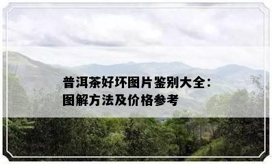 普洱茶好坏图片鉴别大全：图解方法及价格参考