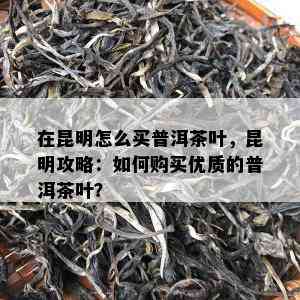 在昆明怎么买普洱茶叶，昆明攻略：如何购买优质的普洱茶叶？