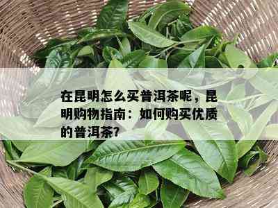 在昆明怎么买普洱茶呢，昆明购物指南：如何购买优质的普洱茶？