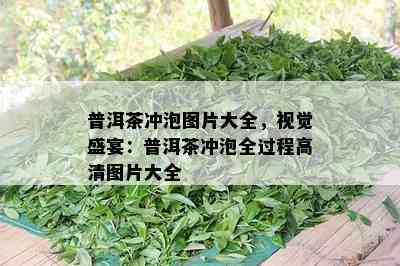 普洱茶冲泡图片大全，视觉盛宴：普洱茶冲泡全过程高清图片大全