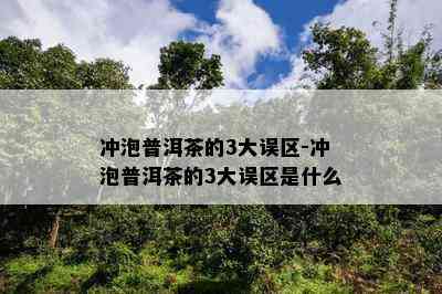 冲泡普洱茶的3大误区-冲泡普洱茶的3大误区是什么