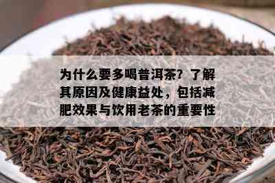 为什么要多喝普洱茶？了解其原因及健康益处，包括减肥效果与饮用老茶的重要性。