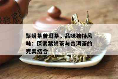 紫娟茶普洱茶，品味独特风味：探索紫娟茶与普洱茶的完美结合