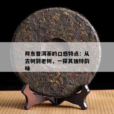 邦东普洱茶的口感特点：从古树到老树，一探其独特韵味