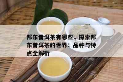 邦东普洱茶有哪些，探索邦东普洱茶的世界：品种与特点全解析