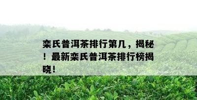 栾氏普洱茶排行第几，揭秘！最新栾氏普洱茶排行榜揭晓！