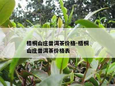 梧桐山庄普洱茶价格-梧桐山庄普洱茶价格表