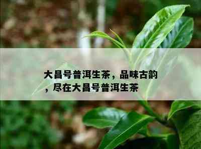 大昌号普洱生茶，品味古韵，尽在大昌号普洱生茶