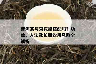 普洱茶与菊花能搭配吗？功效、方法及长期饮用风险全解析