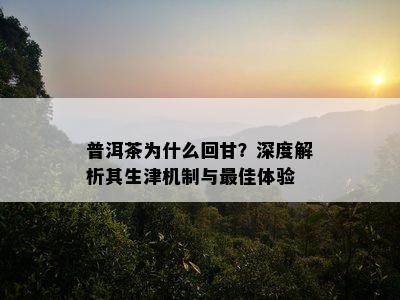 普洱茶为什么回甘？深度解析其生津机制与更佳体验