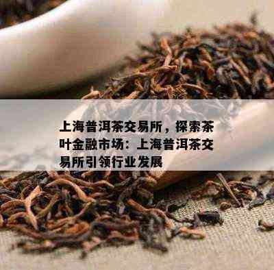 上海普洱茶交易所，探索茶叶金融市场：上海普洱茶交易所引领行业发展