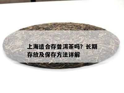 上海适合存普洱茶吗？长期存放及保存方法详解