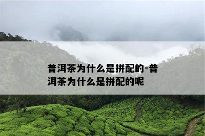 普洱茶为什么是拼配的-普洱茶为什么是拼配的呢