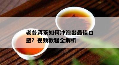 老普洱茶如何冲泡出更佳口感？视频教程全解析