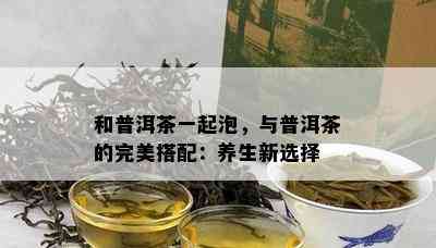 和普洱茶一起泡，与普洱茶的完美搭配：养生新选择