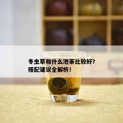 冬虫草和什么泡茶比较好？搭配建议全解析！