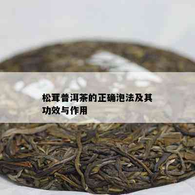 松茸普洱茶的正确泡法及其功效与作用