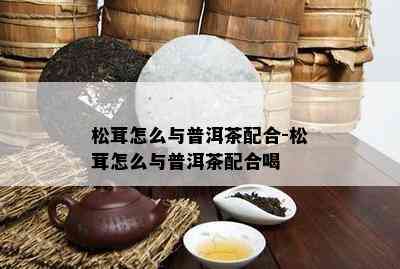 松茸怎么与普洱茶配合-松茸怎么与普洱茶配合喝