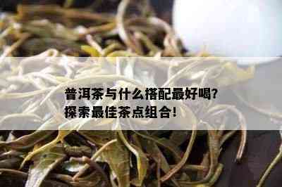 普洱茶与什么搭配更好喝？探索更佳茶点组合！