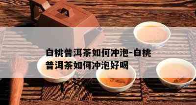 白桃普洱茶如何冲泡-白桃普洱茶如何冲泡好喝