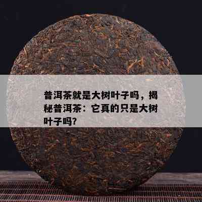 普洱茶就是大树叶子吗，揭秘普洱茶：它真的只是大树叶子吗？