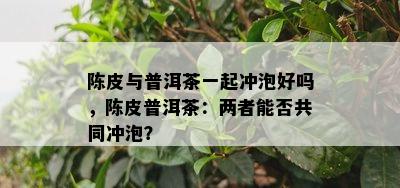 陈皮与普洱茶一起冲泡好吗，陈皮普洱茶：两者能否共同冲泡？