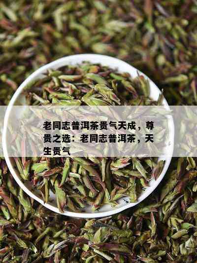 老同志普洱茶贵气天成，尊贵之选：老同志普洱茶，天生贵气