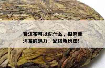 普洱茶可以配什么，探索普洱茶的魅力：配搭新玩法！