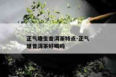 正气塘生普洱茶特点-正气塘普洱茶好喝吗