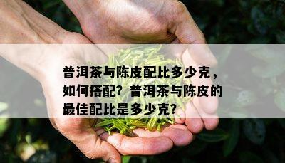 普洱茶与陈皮配比多少克，如何搭配？普洱茶与陈皮的更佳配比是多少克？