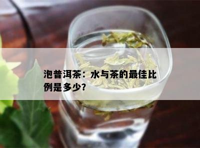 泡普洱茶：水与茶的更佳比例是多少？