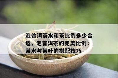 泡普洱茶水和茶比例多少合适，泡普洱茶的完美比例：茶水与茶叶的搭配技巧