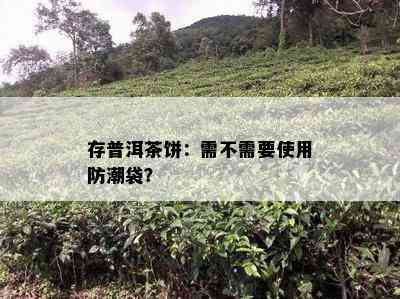 存普洱茶饼：需不需要使用防潮袋？