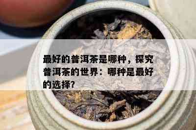 更好的普洱茶是哪种，探究普洱茶的世界：哪种是更好的选择？