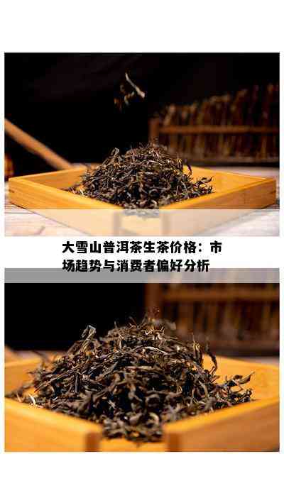 大雪山普洱茶生茶价格：市场趋势与消费者偏好分析